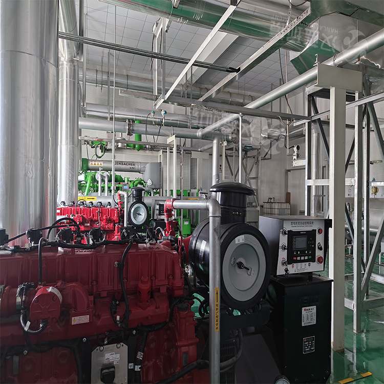 萬純SCR脫硝系統-沼氣發電機組脫硝